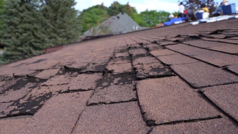 Best Sheet Metal Roofing  in Bloomingdale, FL