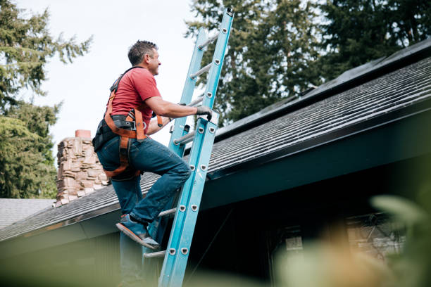 Best Solar Panel Roofing Installation  in Bloomingdale, FL